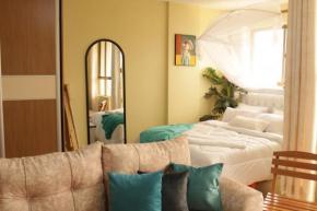 Studio Apartment Near Nairobi CBD
